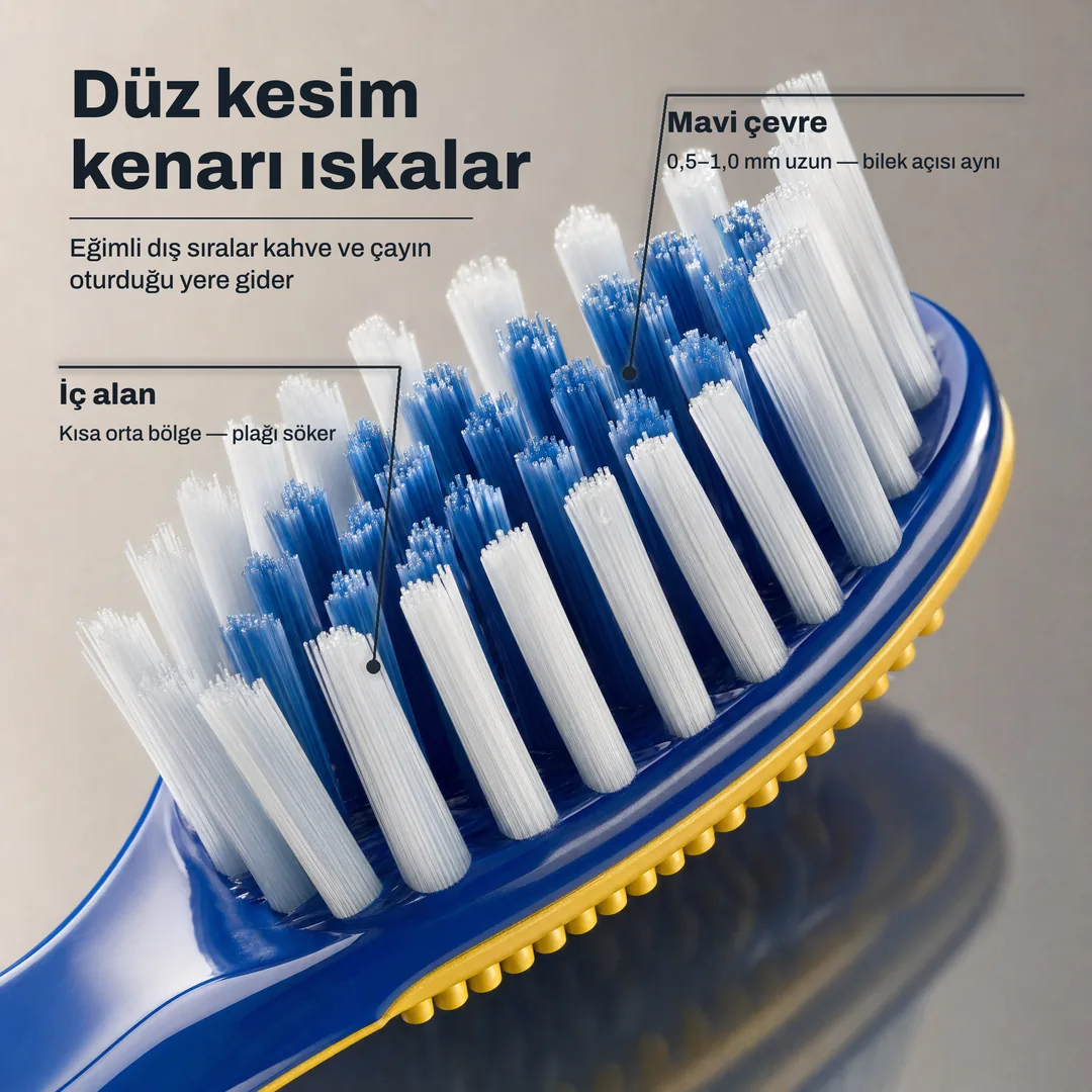 Düz kesim kenarı ıskalar, Eğimli dış sıralar kahve ve çayın oturduğu yere gider · Mavi çevre: 0,5 ile 1,0 mm uzun, bilek açısı aynı · İç alan: Kısa orta bölge, plağı söker