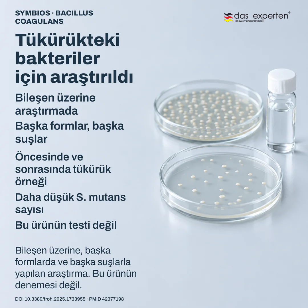 Laboratuvar sahnesi: etiketli tükürük örnekleri ve kültür plakları, bileşen üzerine araştırma