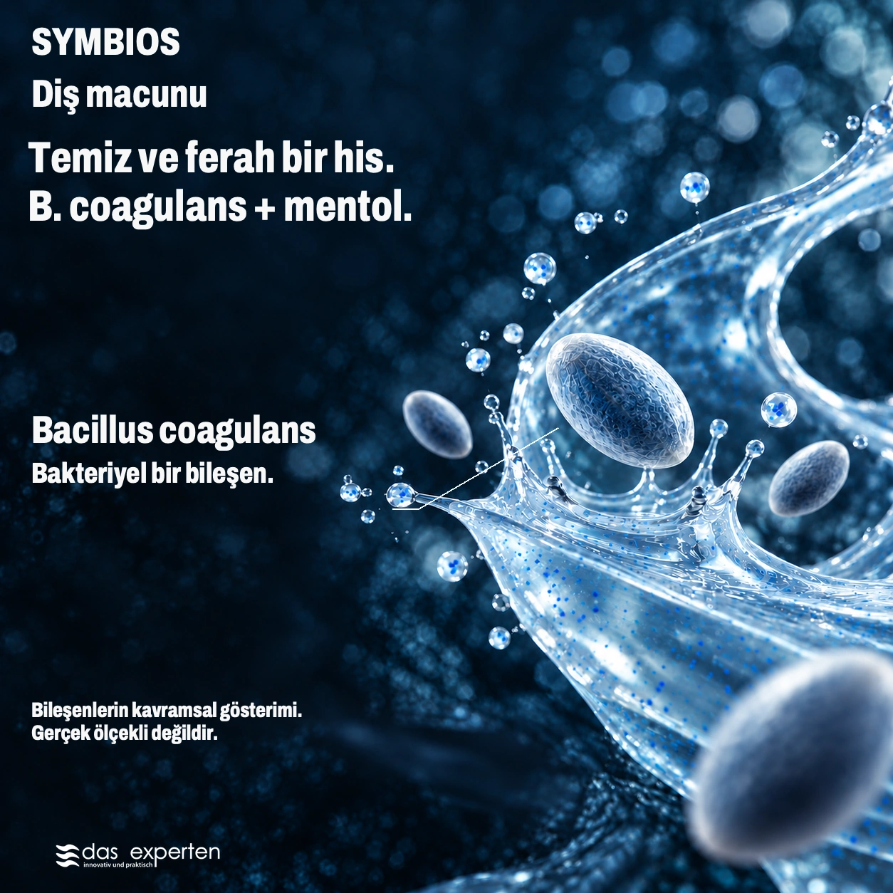 SYMBIOS · Temiz ve ferah bir his. · B. coagulans + mentol. · Bileşenlerin kavramsal gösterimi. · Gerçek ölçekli değildir.
