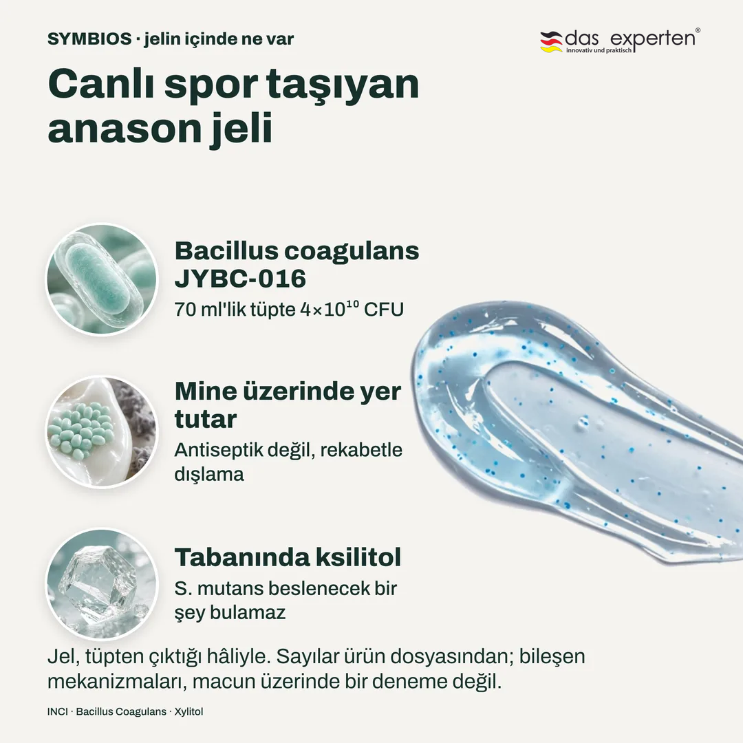 Canlı spor taşıyan anason jeli, Bacillus coagulans JYBC 016; Mine üzerinde yer tutar; Tabanında ksilitol