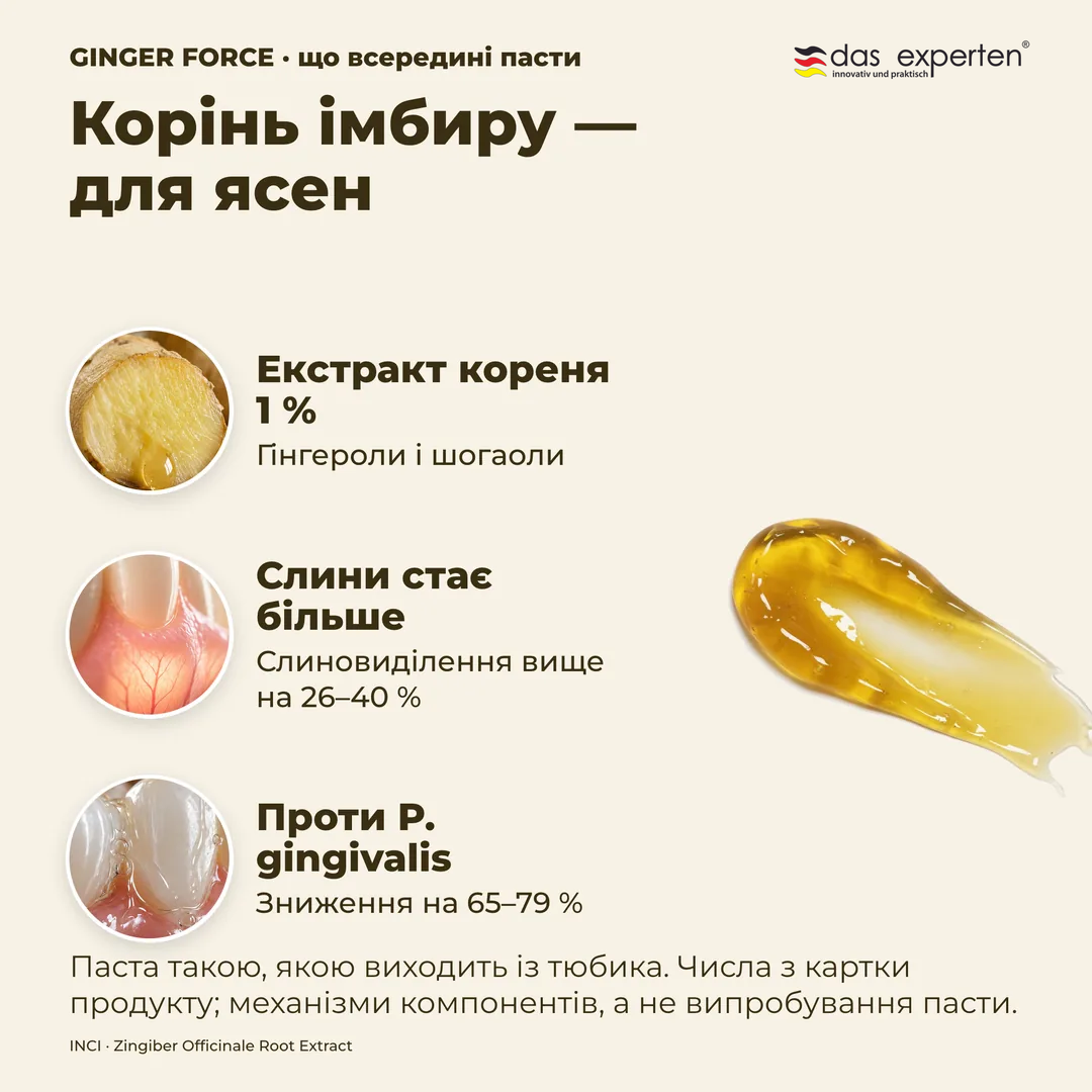 Корінь імбиру, для ясен, Екстракт кореня 1 %; Слини стає більше; Проти P. gingivalis