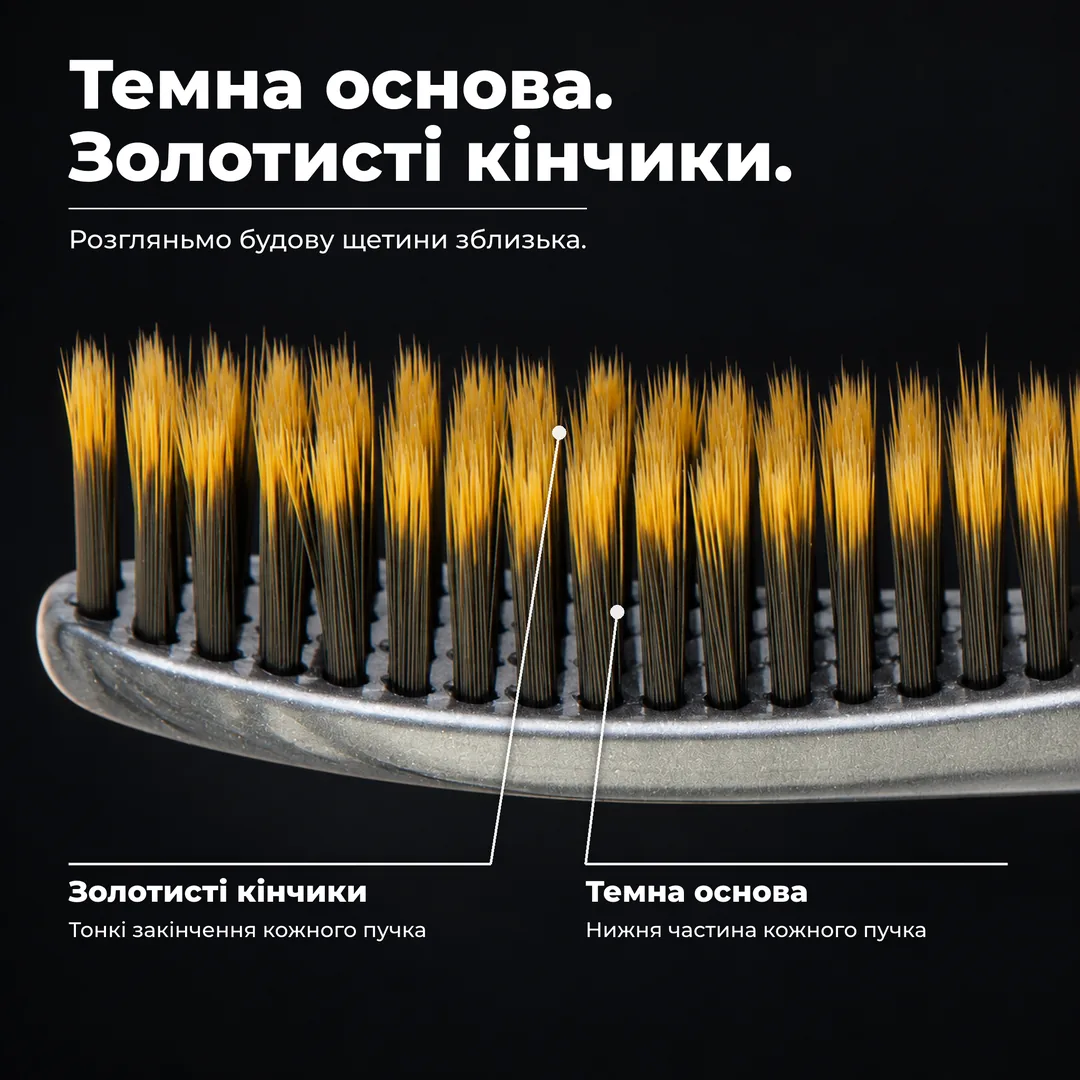 Темна основа. Золотисті кінчики. Розгляньмо будову щетини зблизька. Золотисті кінчики: Тонкі закінчення кожного пучка. Темна основа: Нижня частина кожного пучка.