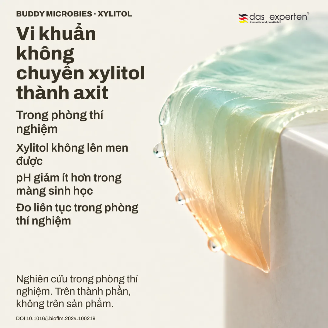Minh họa đo pH của màng sinh học trong phòng thí nghiệm: với xylitol, pH giảm ít hơn, nghiên cứu trên thành phần
