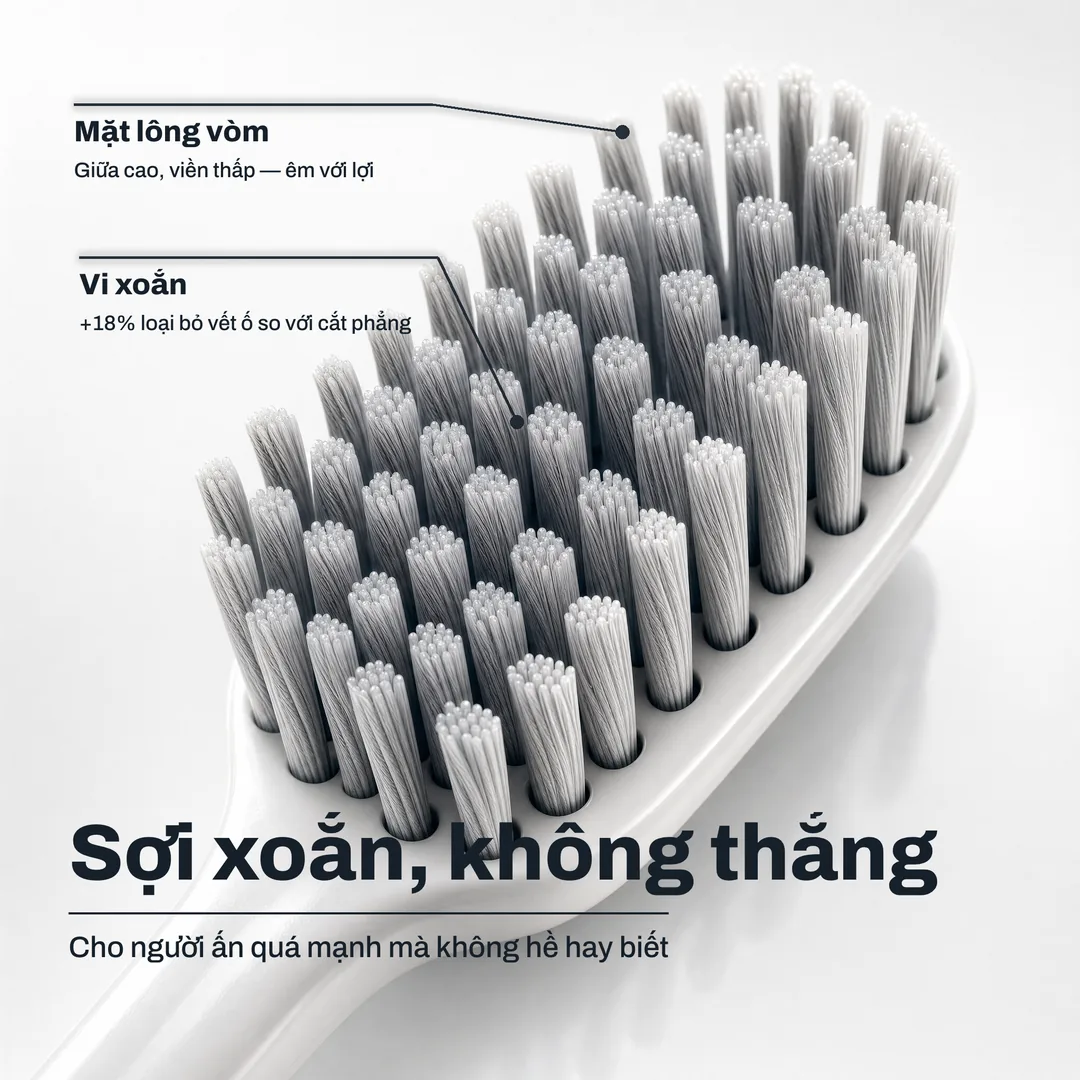 Sợi xoắn, không thẳng, Cho người ấn quá mạnh mà không hề hay biết · Vi xoắn: +18% loại bỏ vết ố so với cắt phẳng · Mặt lông vòm: Giữa cao, viền thấp, êm với lợi
