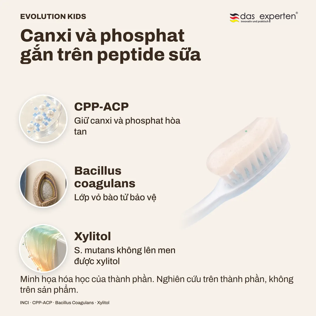 Canxi và phosphat gắn trên peptide sữa · Bacillus coagulans · Xylitol