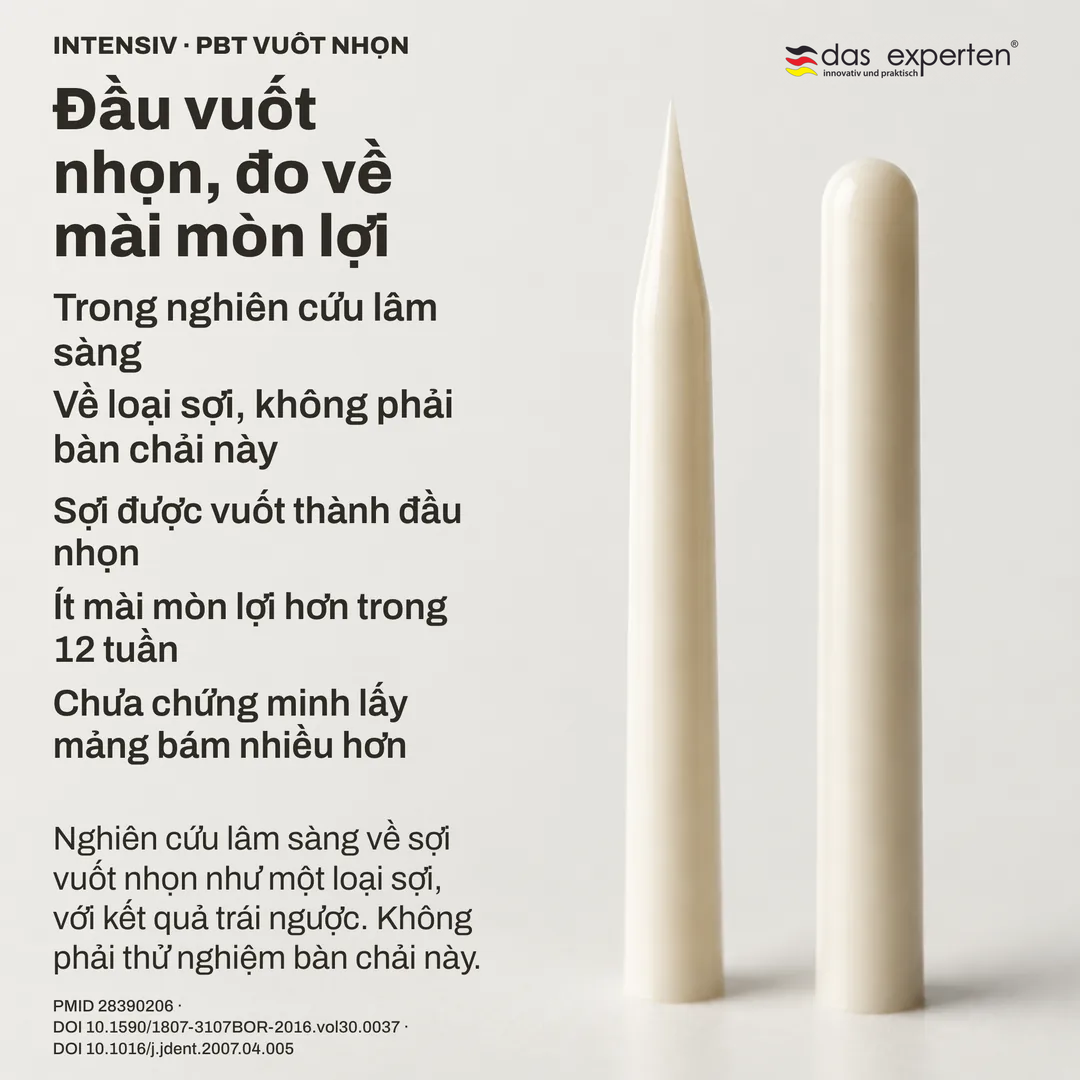 Nghiên cứu hình học sợi: một đầu sợi vuốt nhọn cạnh một đầu tròn, vẽ sơ đồ ở tỉ lệ phi thực