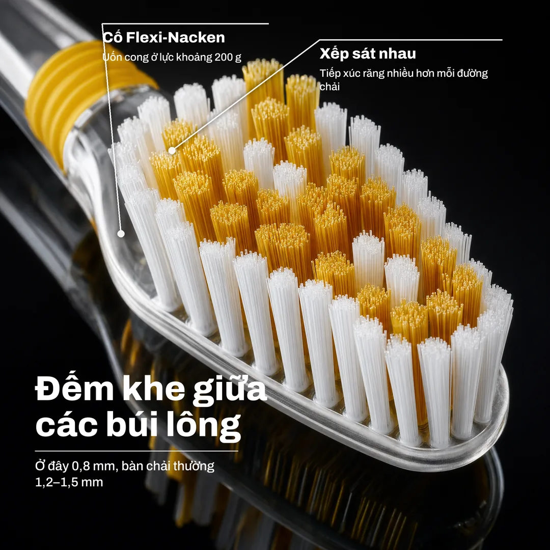 Đếm khe giữa các búi lông, Ở đây 0,8 mm, bàn chải thường 1,2 đến 1,5 mm · Xếp sát nhau: Tiếp xúc răng nhiều hơn mỗi đường chải · Cổ Flexi Nacken: Uốn cong ở lực khoảng 200 g