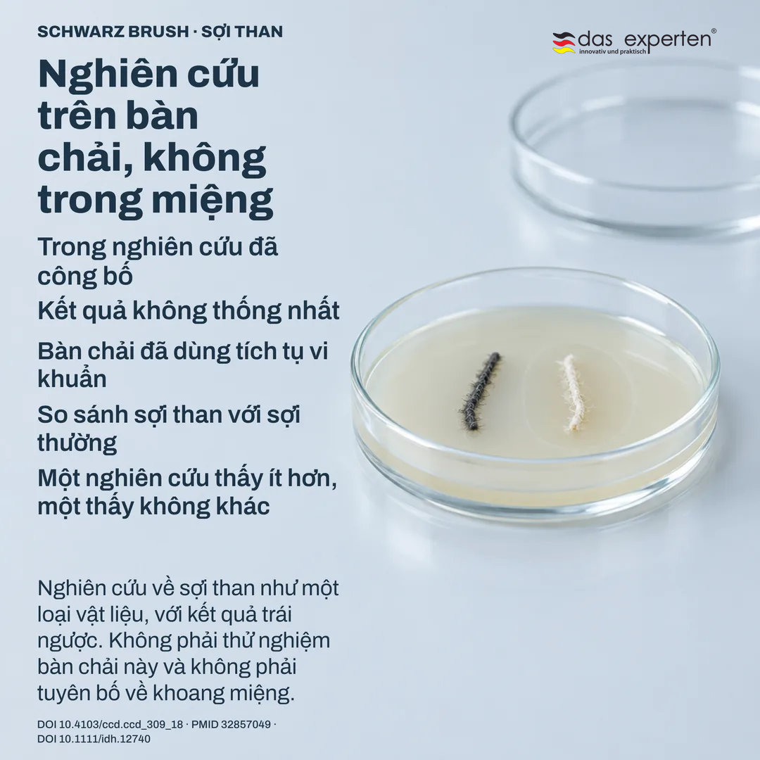 So sánh trong phòng thí nghiệm: hai mẫu sợi trên đĩa nuôi cấy, có vùng đo quanh một mẫu, nghiên cứu trên bàn chải đã dùng