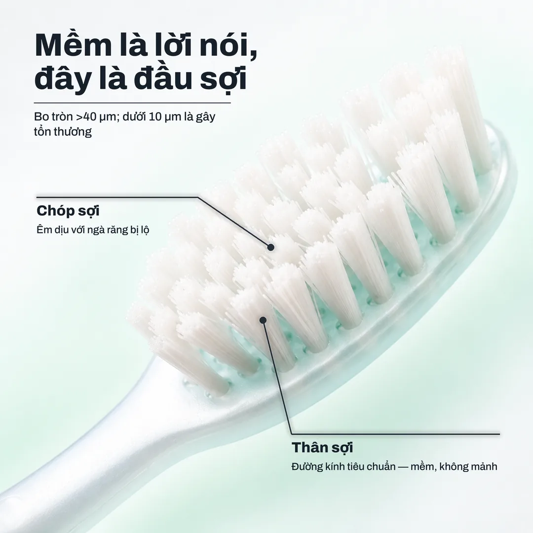Mềm là lời nói, đây là đầu sợi, Bo tròn >40 μm; dưới 10 μm là gây tổn thương · Chóp sợi: Êm dịu với ngà răng bị lộ · Thân sợi: Đường kính tiêu chuẩn, mềm, không mảnh