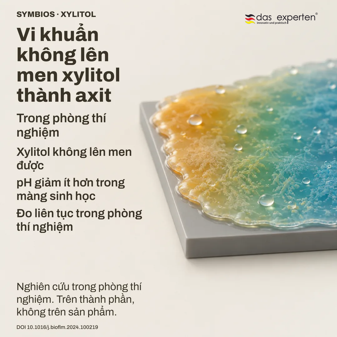 Hình minh họa màng sinh học trên bề mặt chung: có xylitol thì pH giảm ít hơn, phép đo phòng thí nghiệm