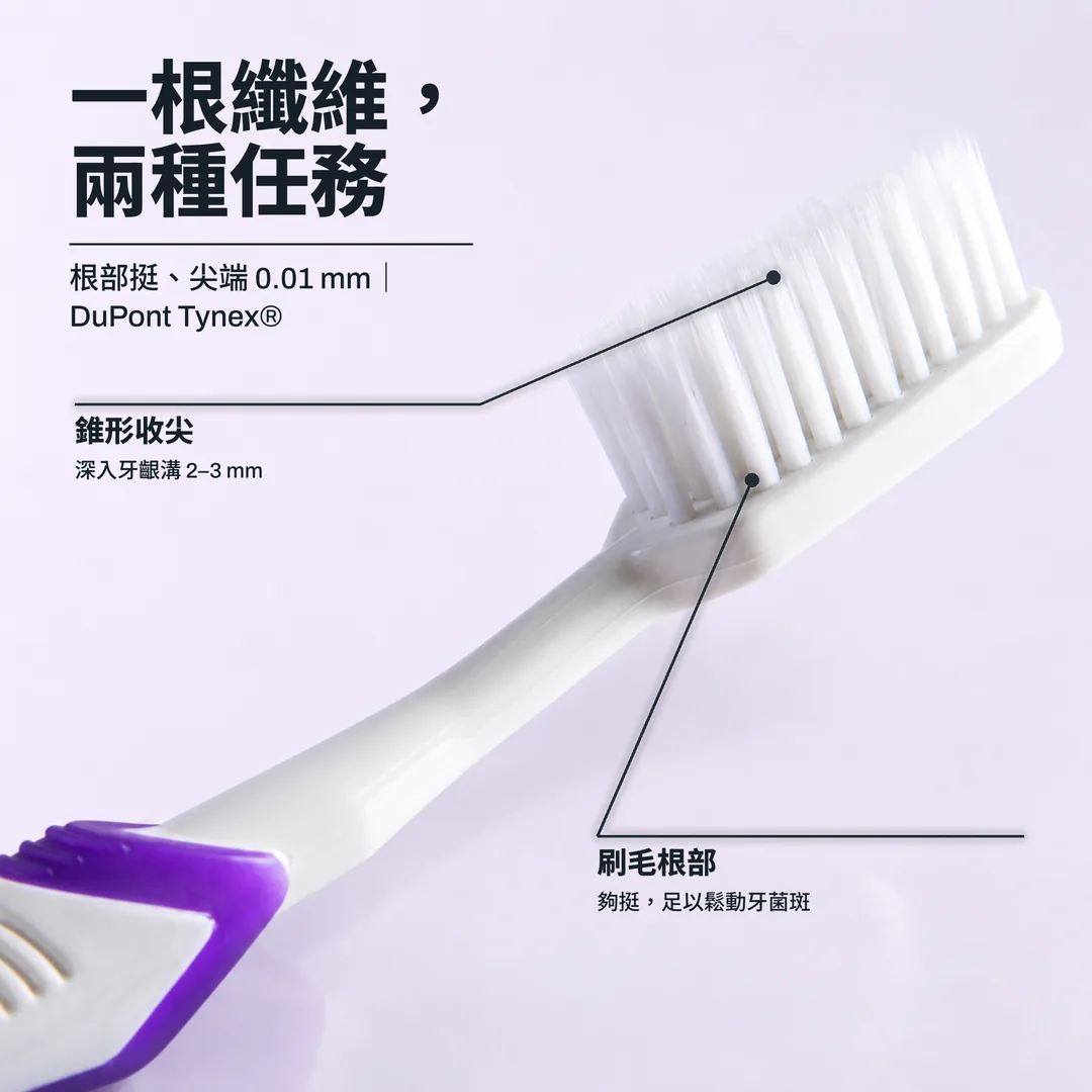 一根纖維,兩種任務, 根部挺、尖端 0.01 mm|DuPont Tynex® · 錐形收尖: 深入牙齦溝 2 至 3 mm · 刷毛根部: 夠挺,足以鬆動牙菌斑
