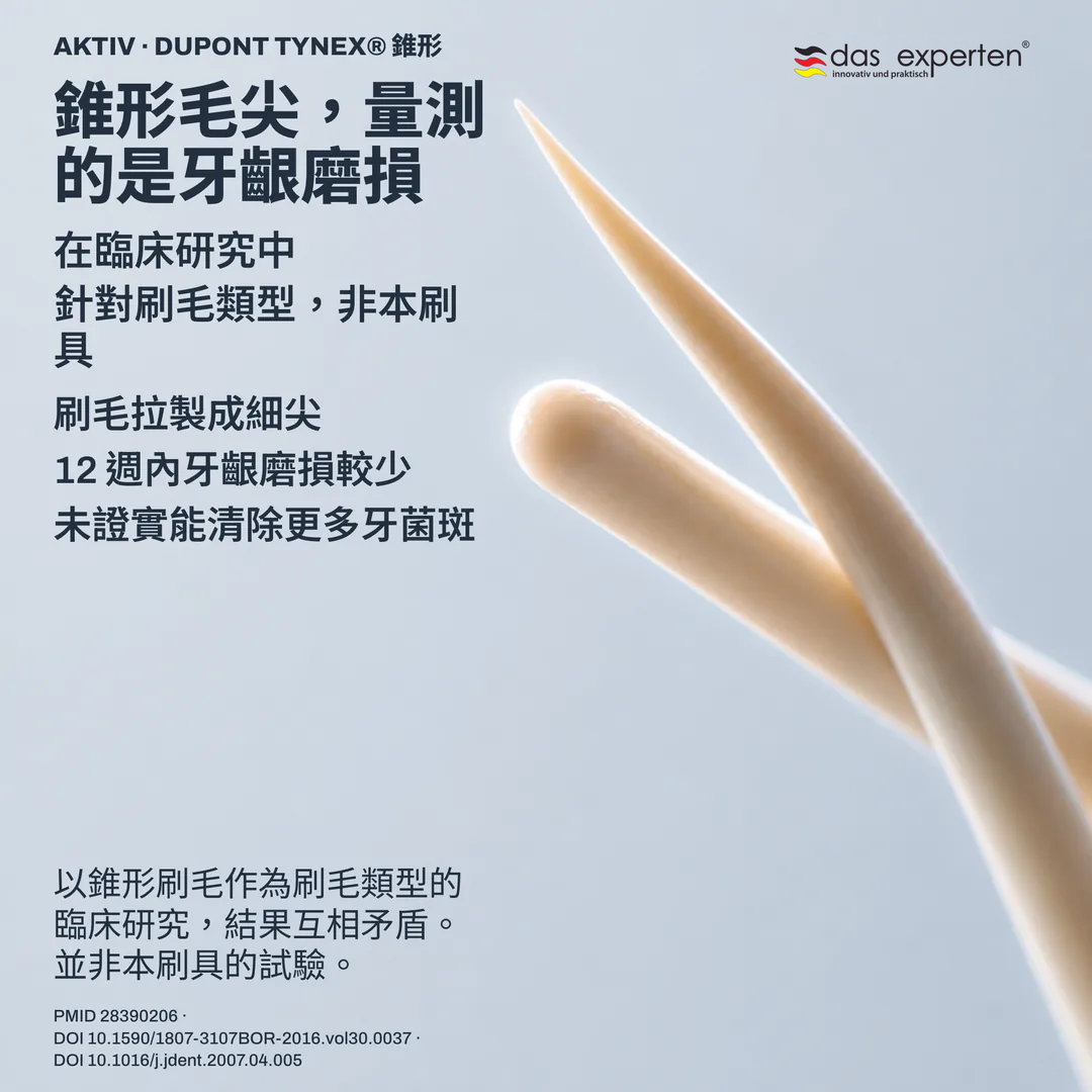 刷毛幾何研究：錐形毛尖側面與圓端毛尖側面並列，為非寫實比例的示意輪廓