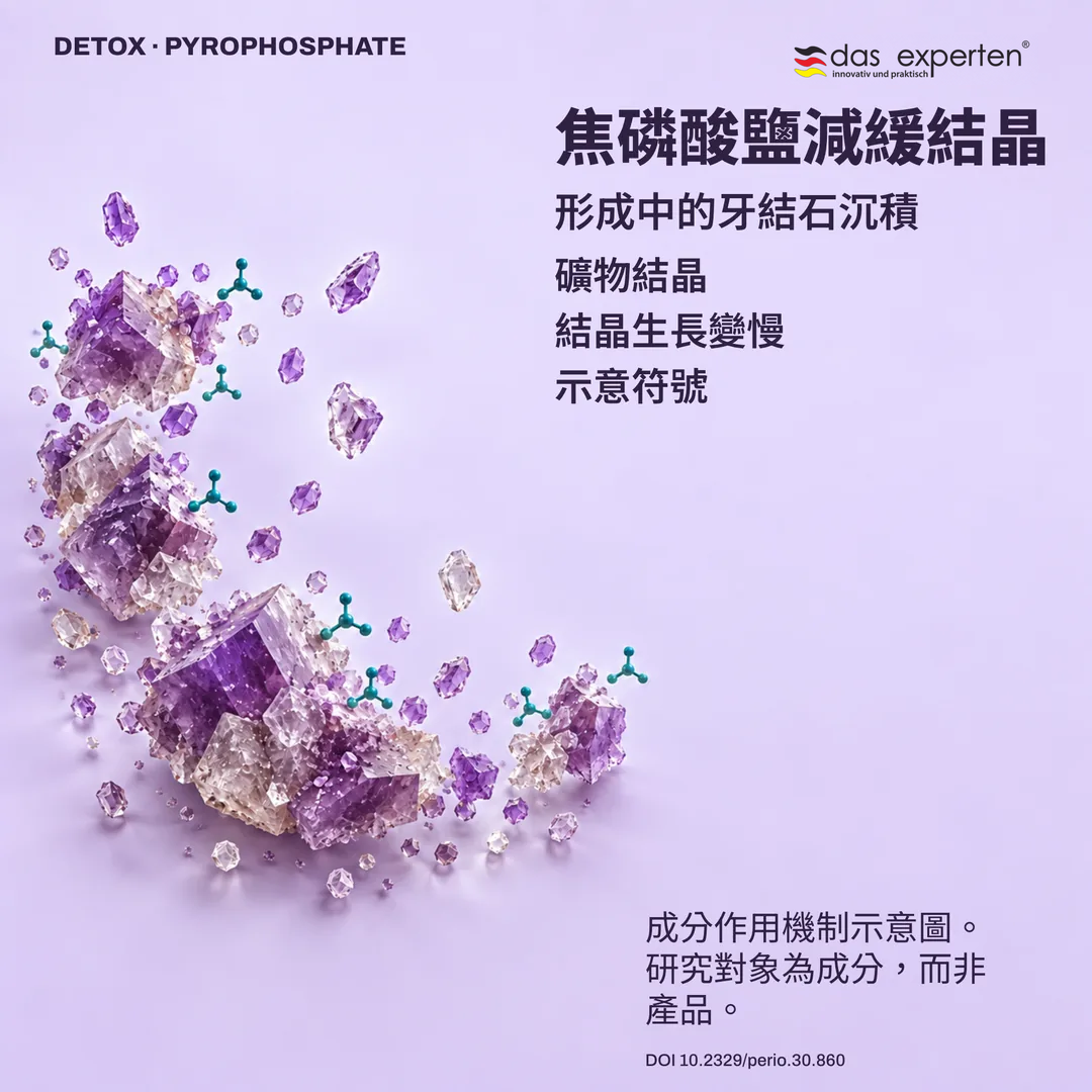 形成中的牙結石內礦物結晶示意圖：焦磷酸鹽減緩結晶生長