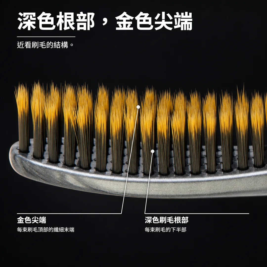 深色根部，金色尖端 近看刷毛的結構。 金色尖端: 每束刷毛頂部的纖細末端. 深色刷毛根部: 每束刷毛的下半部.