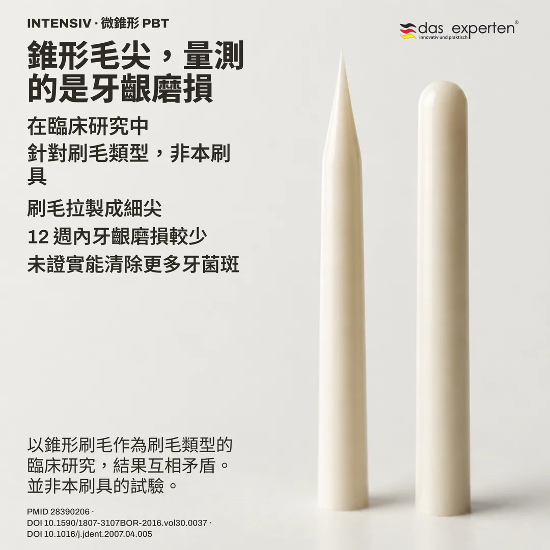 刷毛幾何研究：錐形毛尖側面與圓端毛尖側面並列，為非寫實比例的示意輪廓