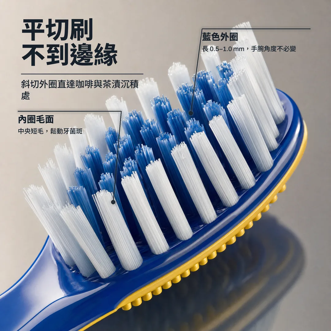 平切刷不到邊緣, 斜切外圈直達咖啡與茶漬沉積處 · 藍色外圈: 長 0.5 至 1.0 mm，手腕角度不必變 · 內圈毛面: 中央短毛，鬆動牙菌斑