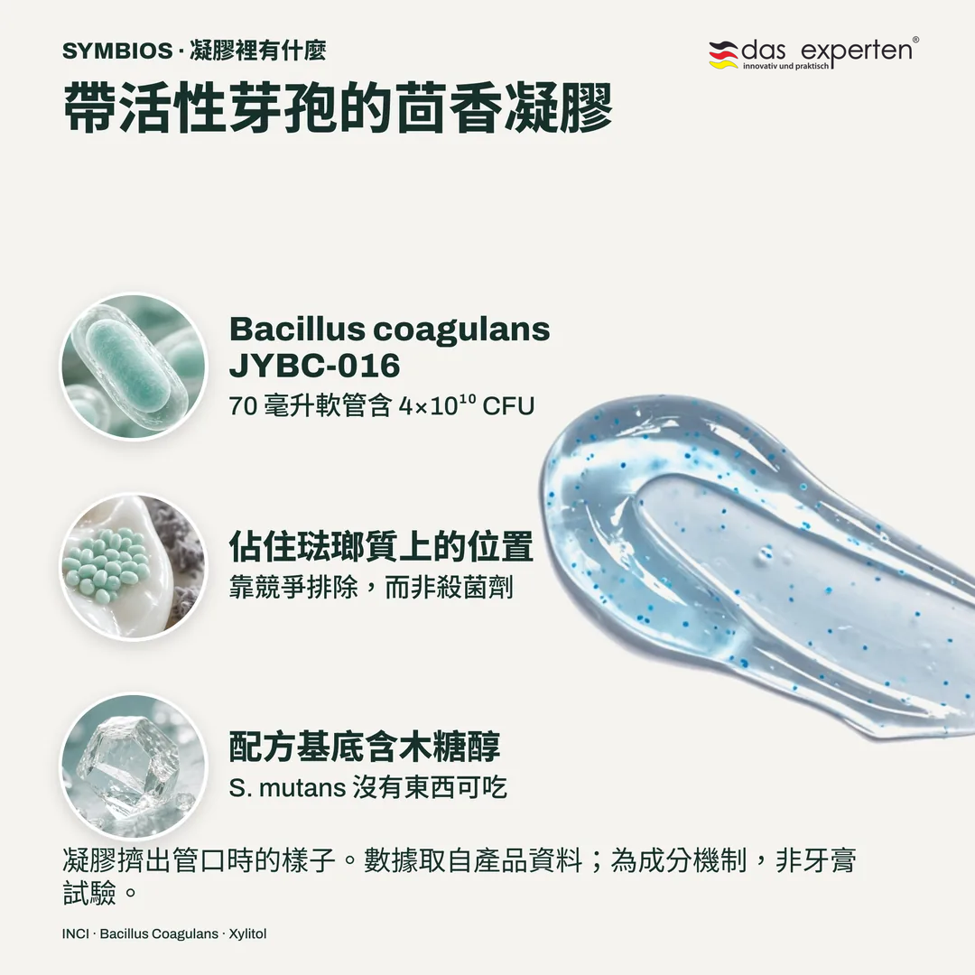 帶活性芽孢的茴香凝膠, Bacillus coagulans JYBC 016; 佔住琺瑯質上的位置; 配方基底含木糖醇