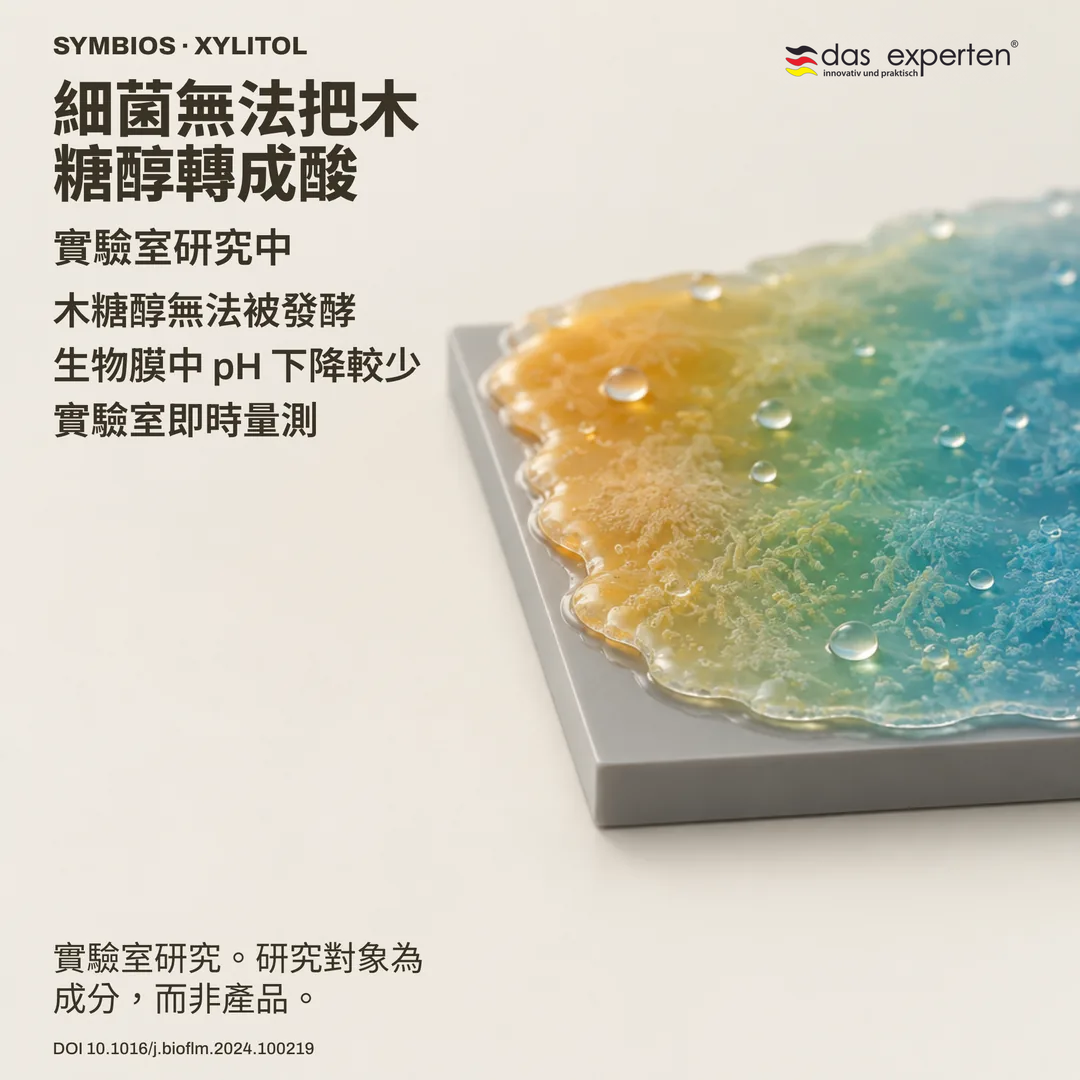 示意圖：一般表面上的生物膜，有木糖醇時 pH 下降較少，屬實驗室量測